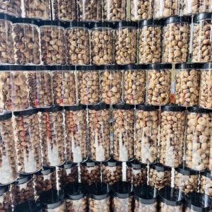 Tỏi đen Lý Sơn nhiều nhánh